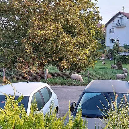 Seehaus Aachblick, Stilvolle Und *